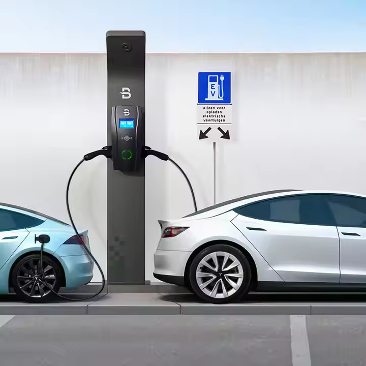 Borne double ASCELLA